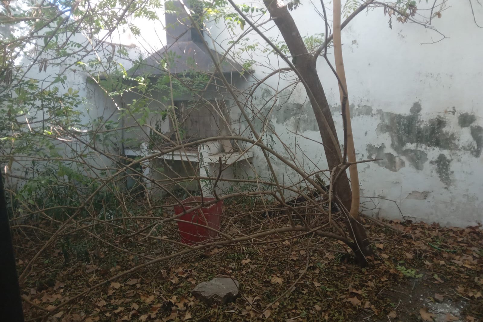 Foto 8 de COD-005: Casa amplia de 4 dormitorios en el centro, para restaurar