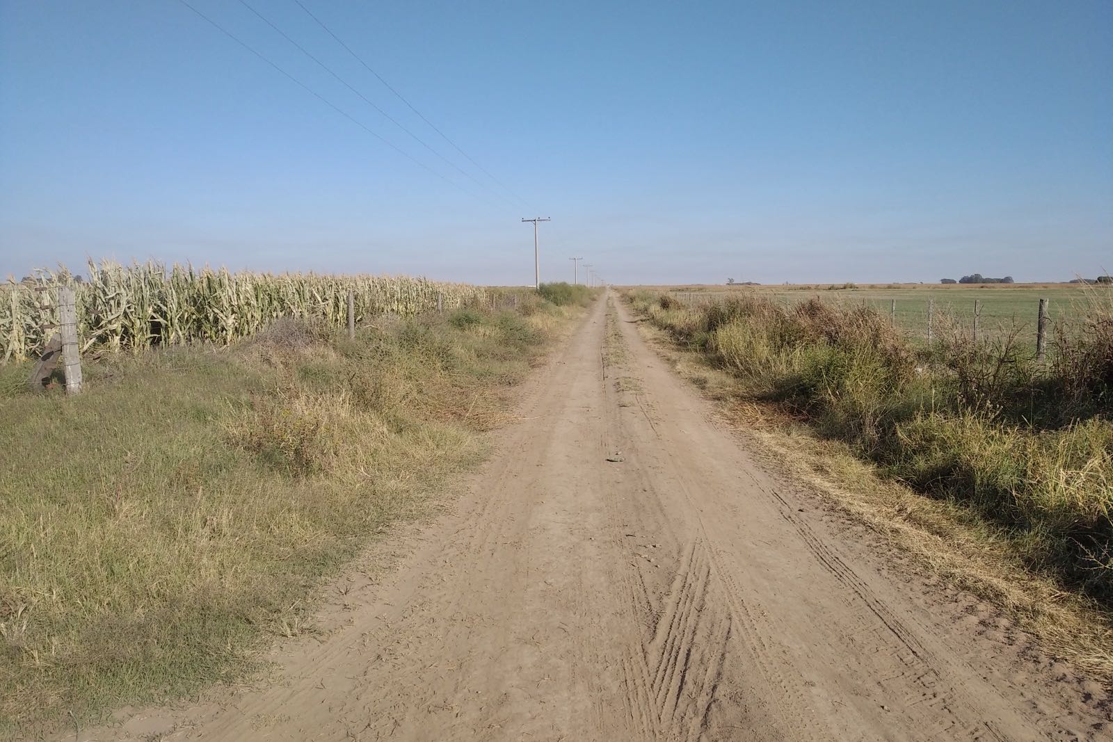 Foto 4 de COD-013: Campo agrícola de 62 hectáreas sobre camino consolidado