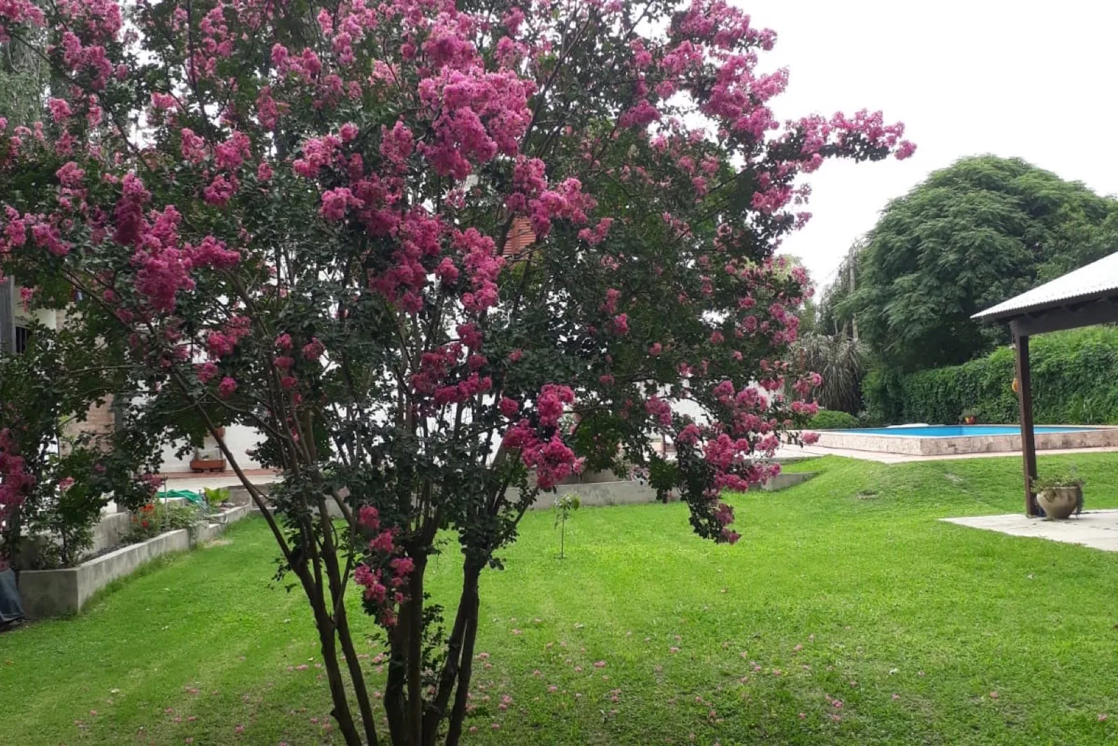 Foto 7 de COD-018: Parque — Casa en venta en Barrio Palermo, Villa María