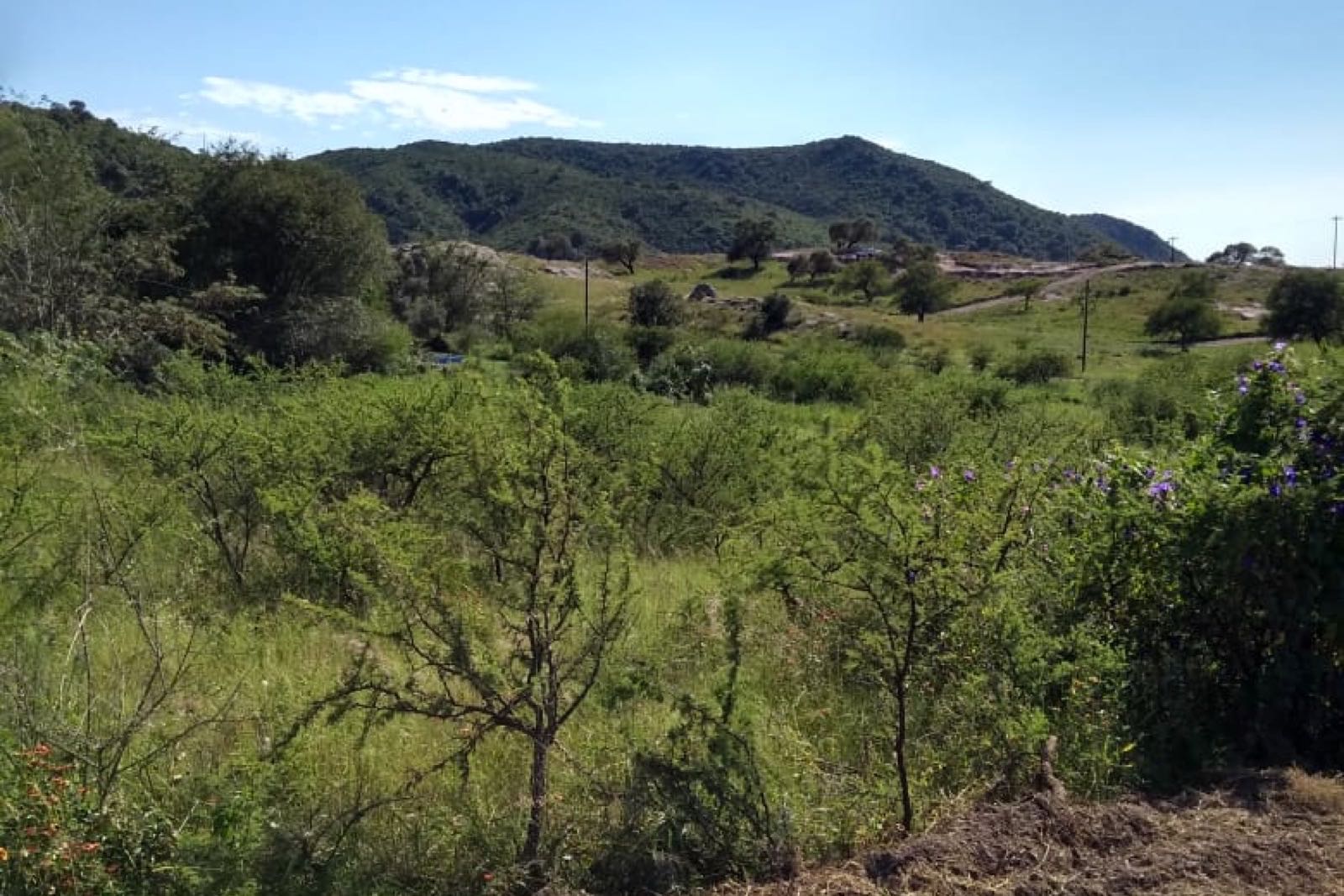 Terreno en venta en Zona Serrana, Santa Rosa de Calamuchita — COD-023